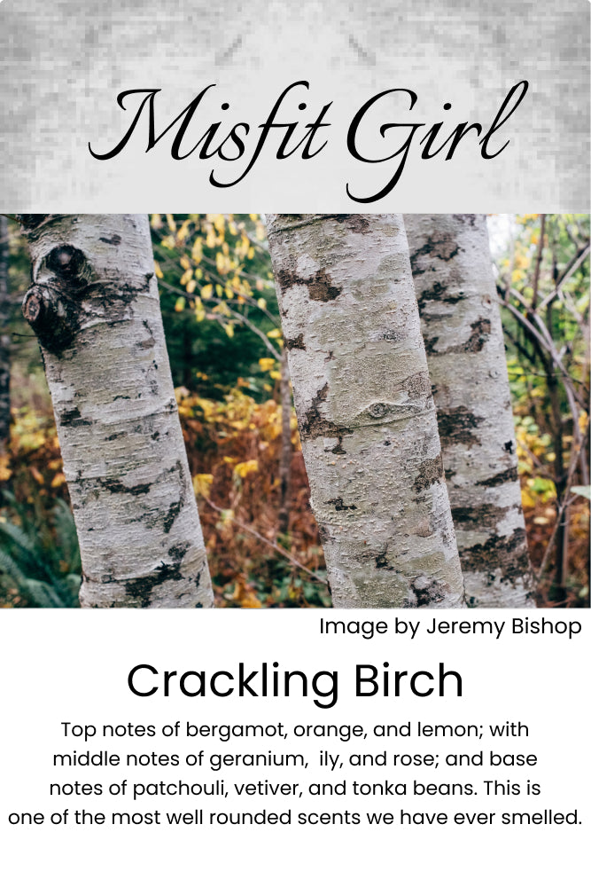 Crackling Birch Wax Melt