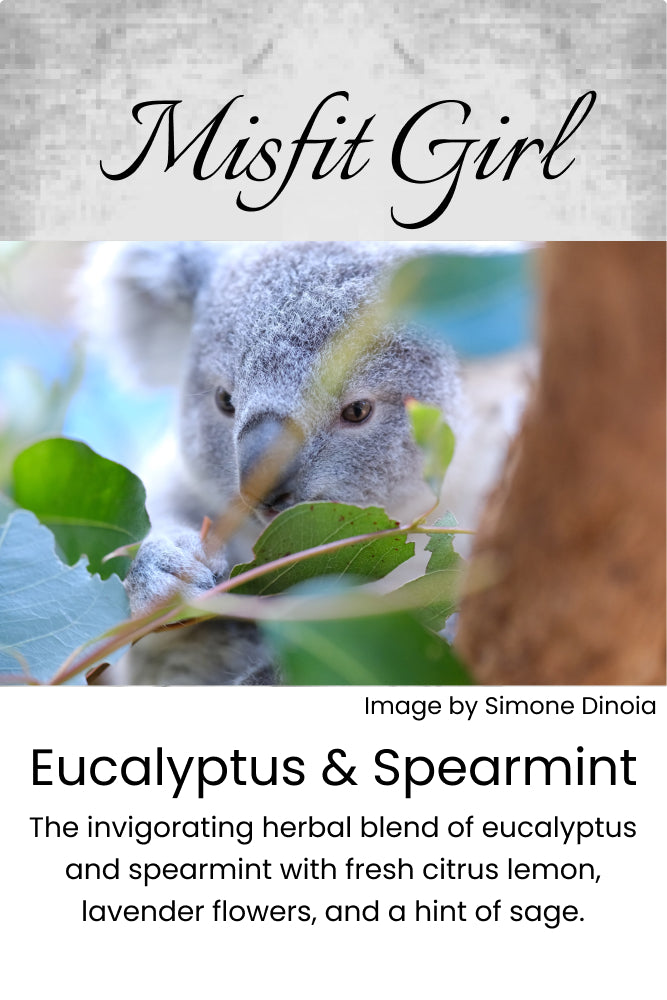 Eucalyptus & Spearmint Wax Melt
